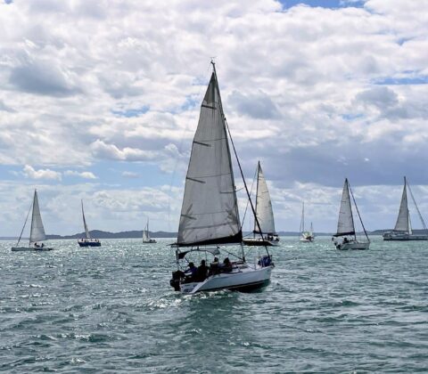 Imagem do post Festival náutico movimenta turismo em Salvador e Itaparica