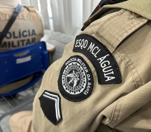 Imagem do post Operação Integrada é deflagrada pelas Polícias Civil e Militar na RMS