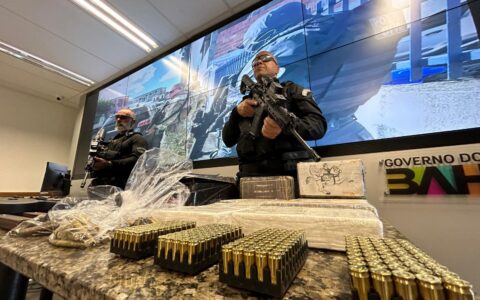 Imagem do post Cerca de três mil armas de fogo são retiradas de circulação em 2024