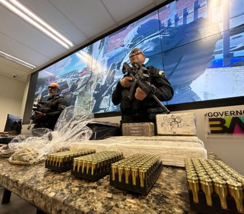 Imagem do post Cerca de três mil armas de fogo são retiradas de circulação em 2024