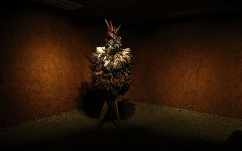 Imagem do post Povos indígenas criam protocolo para reaver peças do exterior