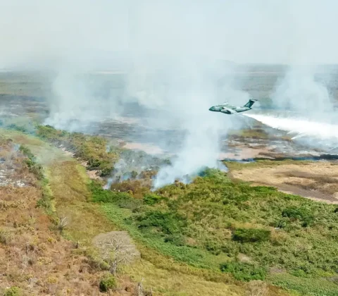 Imagem do post Lula sanciona política para uso controlado do fogo