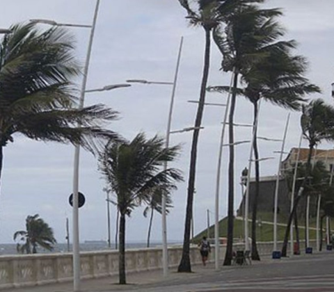 Imagem do post Mau tempo em Salvador interrompe campanhas de Bruno Reis e Geraldo Júnior
