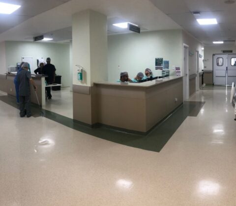 Imagem do post Einstein traz para Salvador grandes nomes da ortopedia para mutirões de cirurgias no Hospital Ortopédico do Estado