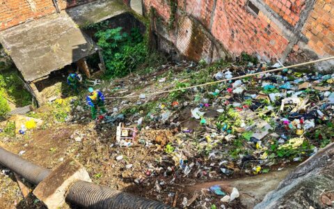 Imagem do post Limpurb realiza limpeza e roçagem de encosta no IAPI