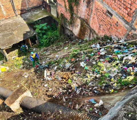 Imagem do post Limpurb realiza limpeza e roçagem de encosta no IAPI