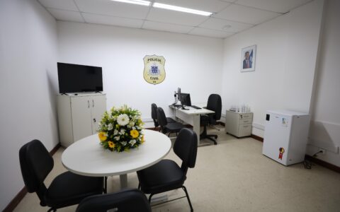 Imagem do post Desarme é a mais nova especializada da Polícia Civil da Bahia