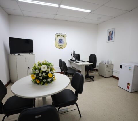 Imagem do post Desarme é a mais nova especializada da Polícia Civil da Bahia