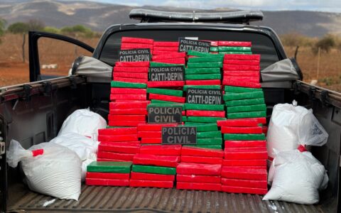 Imagem do post Polícia Civil realiza a maior apreensão de cocaína do ano na Bahia