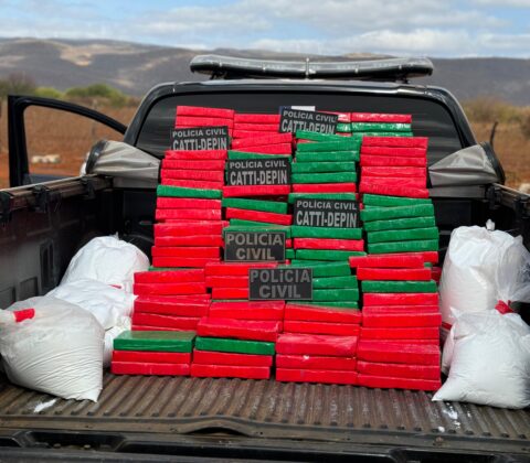 Imagem do post Polícia Civil realiza a maior apreensão de cocaína do ano na Bahia
