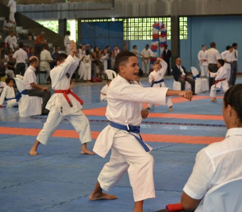 Imagem do post Arena de Esportes da Bahia recebe Campeonato Baiano de Karatê 2024 neste final de semana