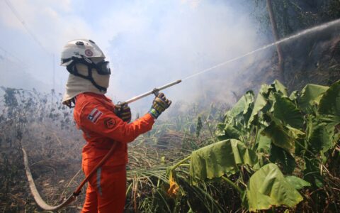 Imagem do post Bombeiros reforçam combate e debelam 422 incêndios florestais na Bahia