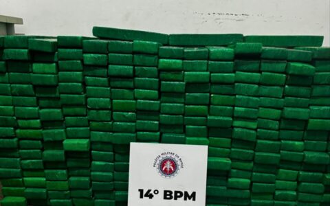 Imagem do post PM-BA apreende 590 tabletes de maconha em Santo Antônio de Jesus