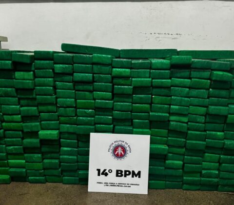 Imagem do post PM-BA apreende 590 tabletes de maconha em Santo Antônio de Jesus