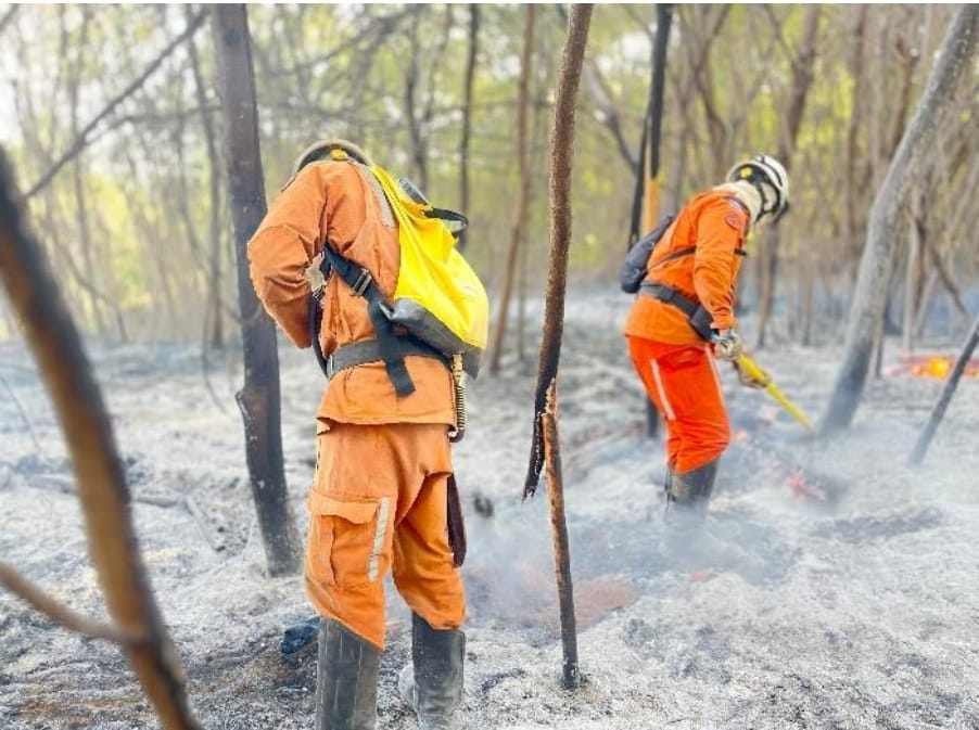 Bombeiros extinguem incêndios florestais em Barreiras e São Desidério