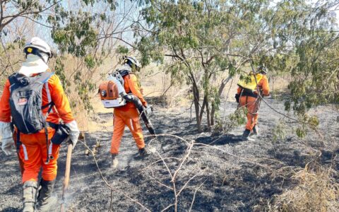 Imagem do post Bombeiros extinguem incêndios florestais em Luís Eduardo Magalhães, Guanambi e Cocos
