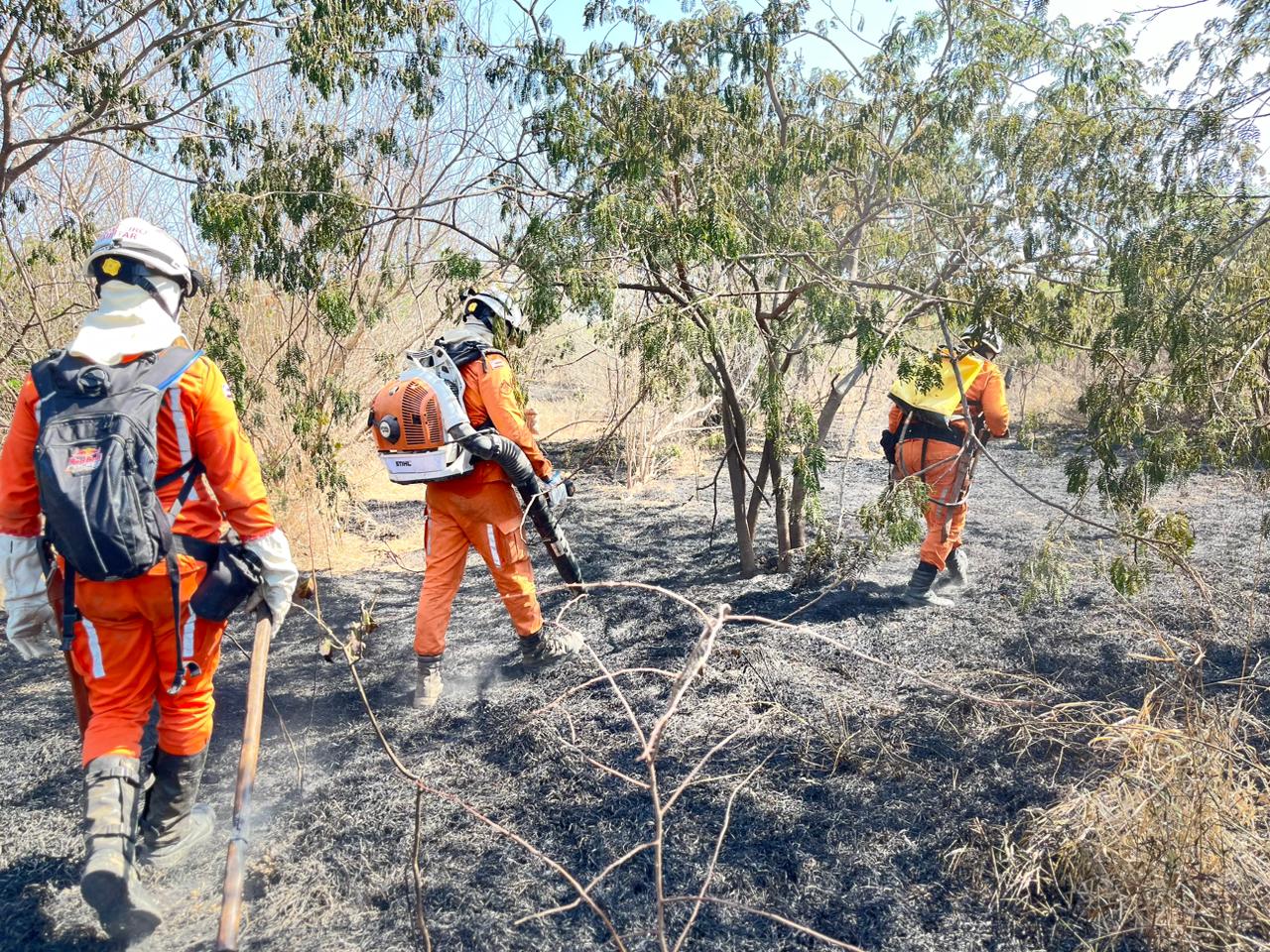 Bombeiros extinguem incêndios florestais em Luís Eduardo Magalhães, Guanambi e Cocos