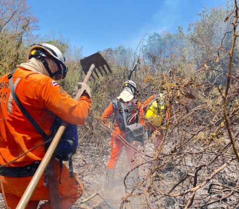 Imagem do post Bombeiros extinguem incêndios florestais no interior da Bahia; veja locais