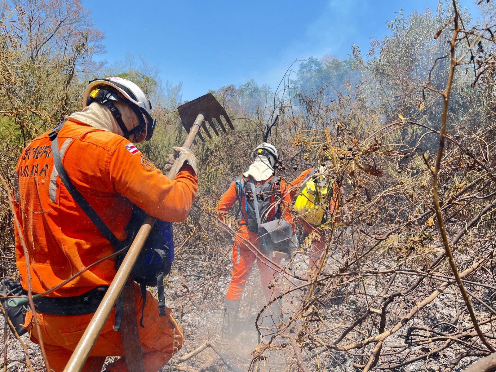 Bombeiros extinguem incêndios florestais no interior da Bahia; veja locais