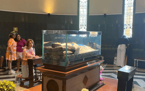 Imagem do post Devoção à Santa Dulce dos Pobres aquece turismo religioso baiano