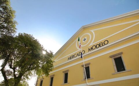 Imagem do post Mercado Modelo recebe festival SSA Mapping especial de Dia das Crianças