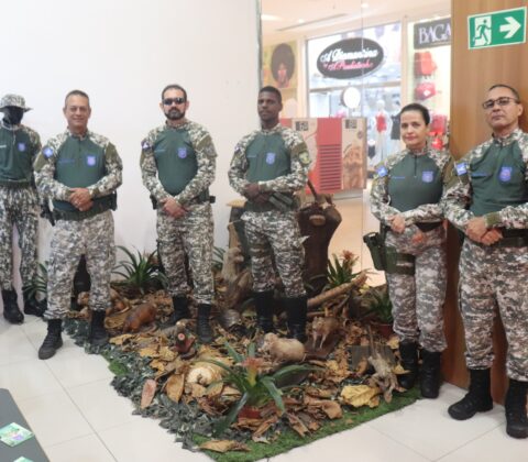 Imagem do post GCM leva população para uma imersão no mundo da segurança pública no Norte Shopping
