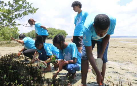 Imagem do post Alunos de São Francisco do Conde fazem plantio de mudas de mangue