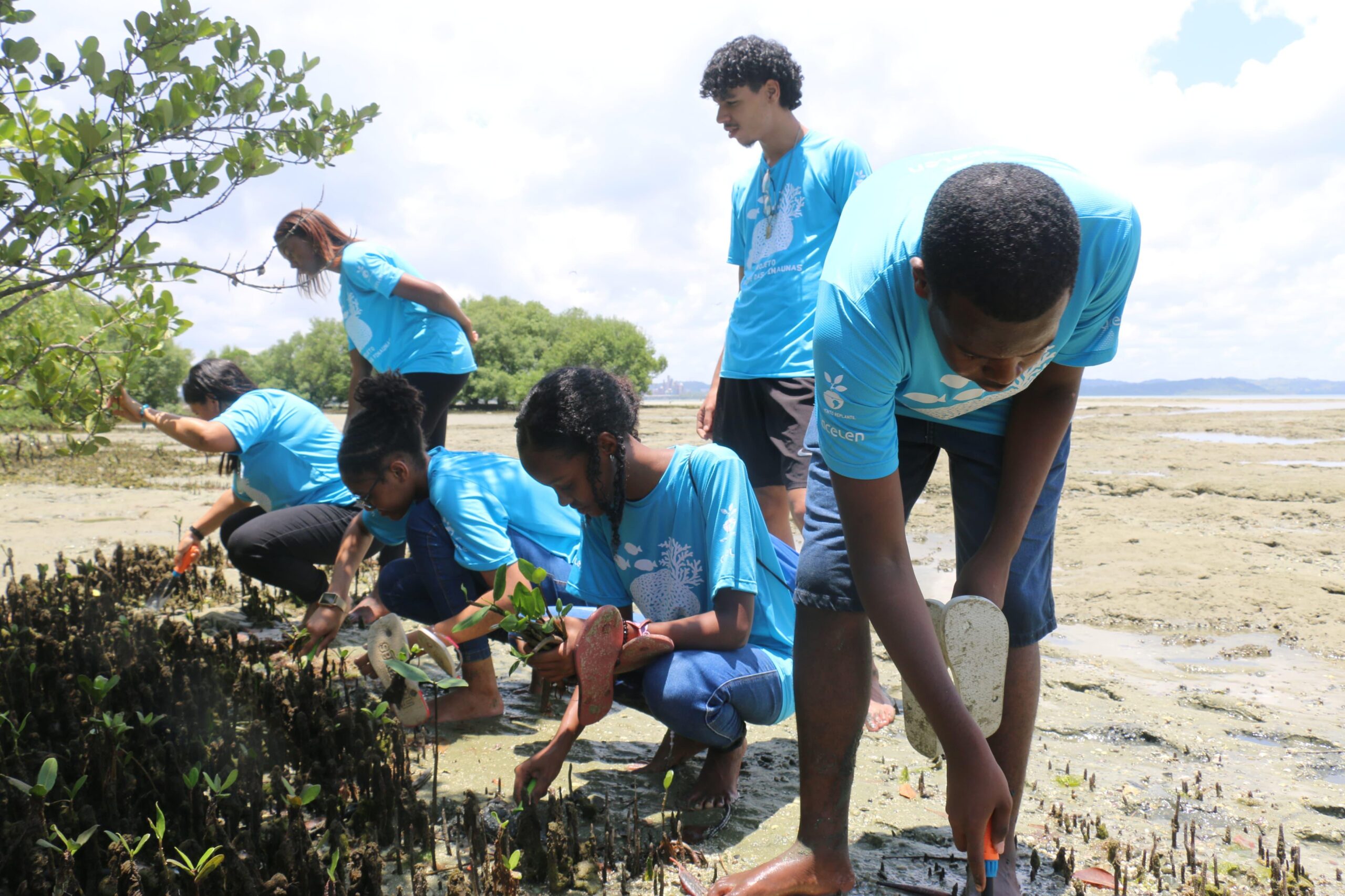 Alunos de São Francisco do Conde fazem plantio de mudas de mangue