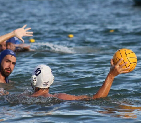 Imagem do post Da piscina para praia: competição de polo aquático acontece em Praia do Forte neste final de semana com times de oito estados