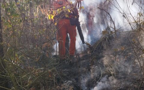 Imagem do post Bombeiros extinguem incêndios florestais em São Desidério, Pilão Arcado, Jacobina e Malhada