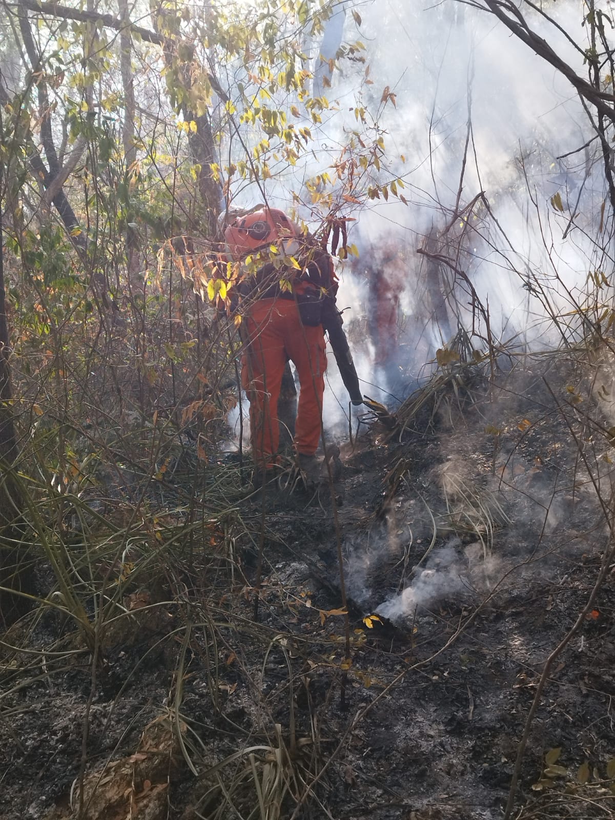 Bombeiros extinguem incêndios florestais em São Desidério, Pilão Arcado, Jacobina e Malhada