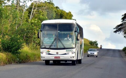 Imagem do post Decreto estadual garante gratuidade do transporte intermunicipal nos dois turnos das eleições municipais em toda a Bahia