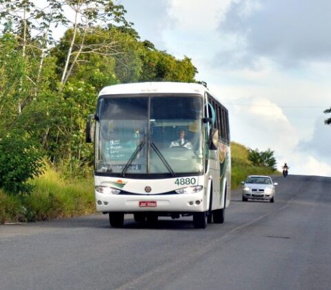 Imagem do post Decreto estadual garante gratuidade do transporte intermunicipal nos dois turnos das eleições municipais em toda a Bahia