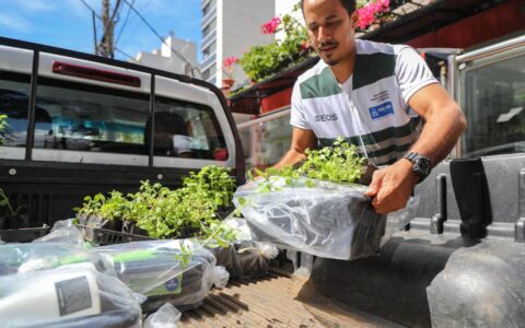 Imagem do post Nova edição do projeto Horta em Casa 2024 abre inscrições a partir deste sábado (12)