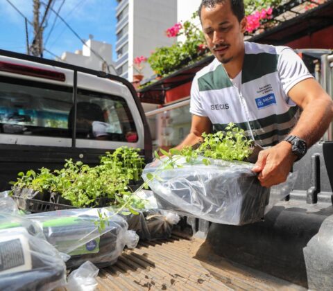 Imagem do post Nova edição do projeto Horta em Casa 2024 abre inscrições a partir deste sábado (12)