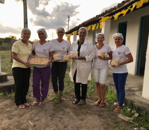 Imagem do post Biscoito de Licuri é novo produto lançado pelo Cesol de Pintadas