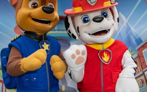 Imagem do post Personagens da Patrulha Canina marcam presença em Salvador