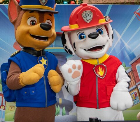 Imagem do post Personagens da Patrulha Canina marcam presença em Salvador