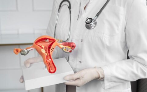 Imagem do post Transplante uterino é alternativa para infertilidade feminina