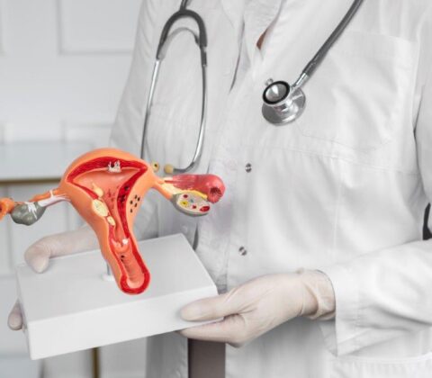 Imagem do post Transplante uterino é alternativa para infertilidade feminina