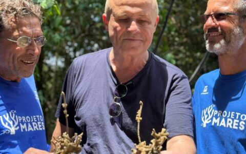 Imagem do post Na Bahia, embaixador e cônsules franceses visitam projeto socioambiental realizado pela PRÓ-MAR