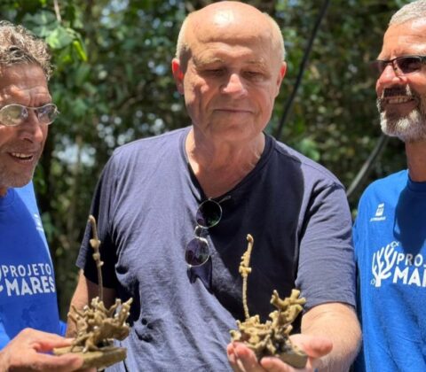 Imagem do post Na Bahia, embaixador e cônsules franceses visitam projeto socioambiental realizado pela PRÓ-MAR