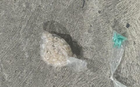 Imagem do post Dois homens são detidos pela PM com drogas na Avenida San Martins