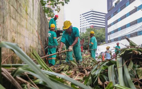 Imagem do post Seman divulga balanço de ações de manutenção urbana entre janeiro e setembro