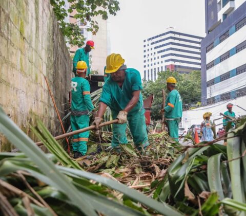 Imagem do post Seman divulga balanço de ações de manutenção urbana entre janeiro e setembro