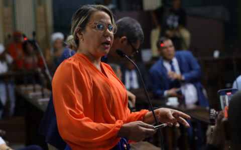 Imagem do post Bancada feminina cresce de oito para nove vereadoras