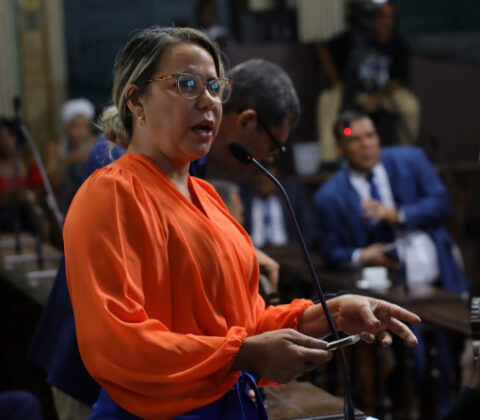 Imagem do post Bancada feminina cresce de oito para nove vereadoras