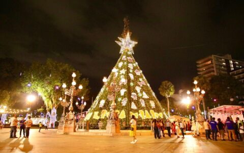Imagem do post Prefeitura apresenta Natal Luz Salvador 2024 nesta quarta (27)