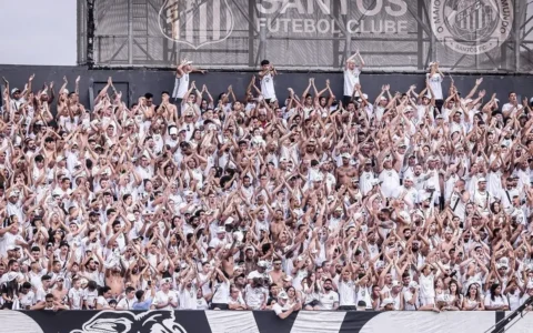 Imagem do post Santos é campeão da Série B de 2024