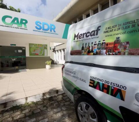 Imagem do post SDR anuncia novo prazo para inscrições em processo seletivo; saiba como se inscrever